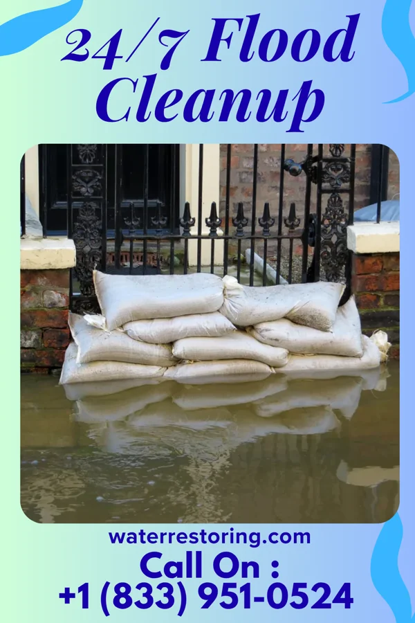 24/7 Flood Cleanup in New Trier, MN
