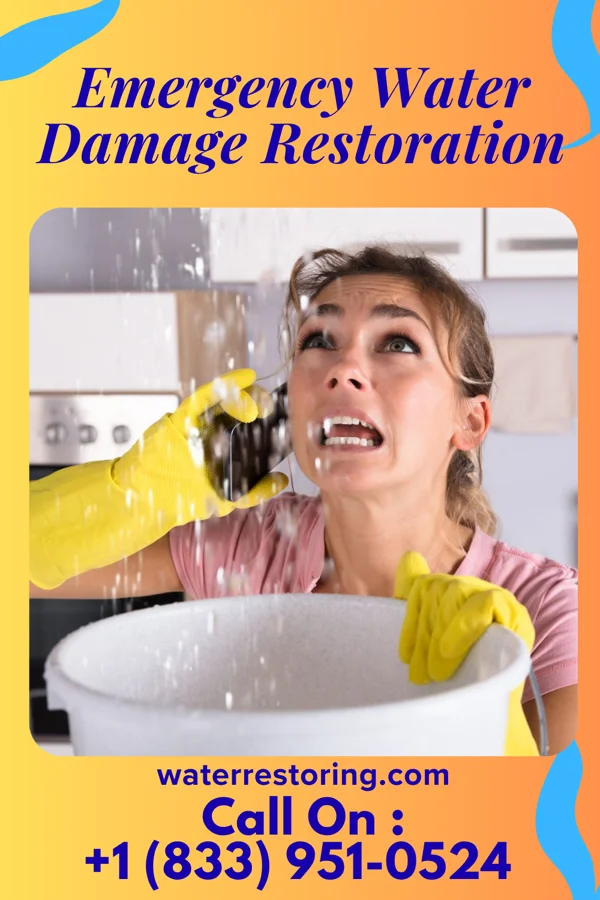 Emergency Water Damage Restoration in New Trier, MN